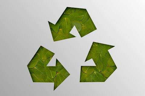 Sustainable organic waste solution 